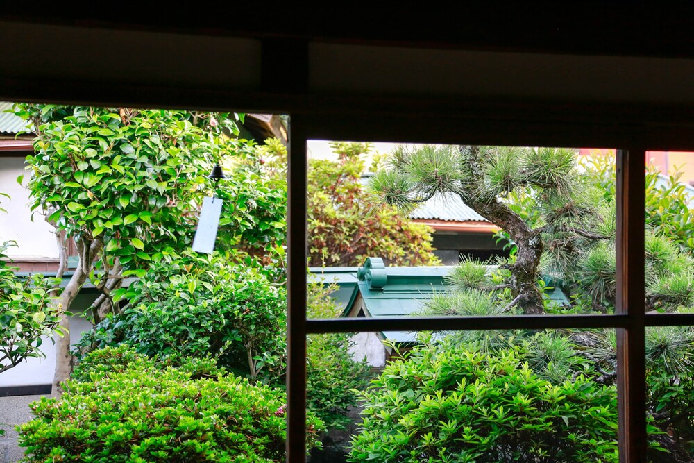 Guestroom View