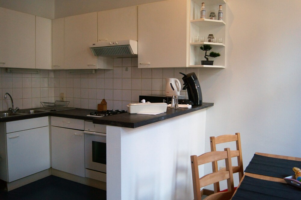 Cuisine dans la chambre (Appartement Standard, 1 grand lit avec un canapé-lit)