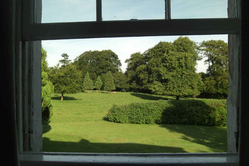 Guestroom View