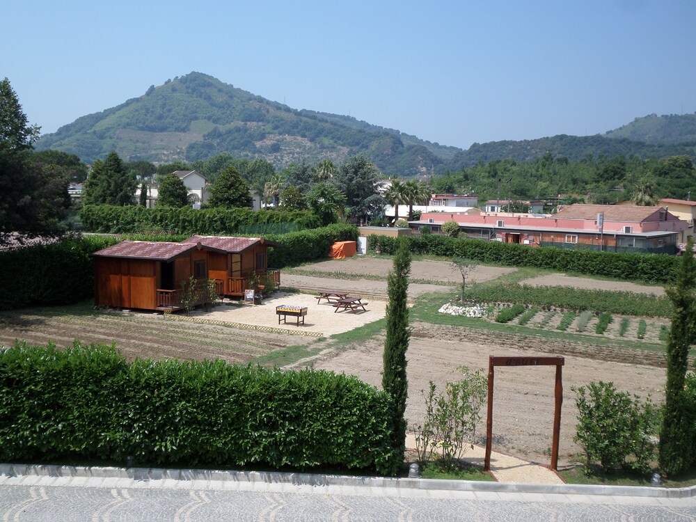 Esterni