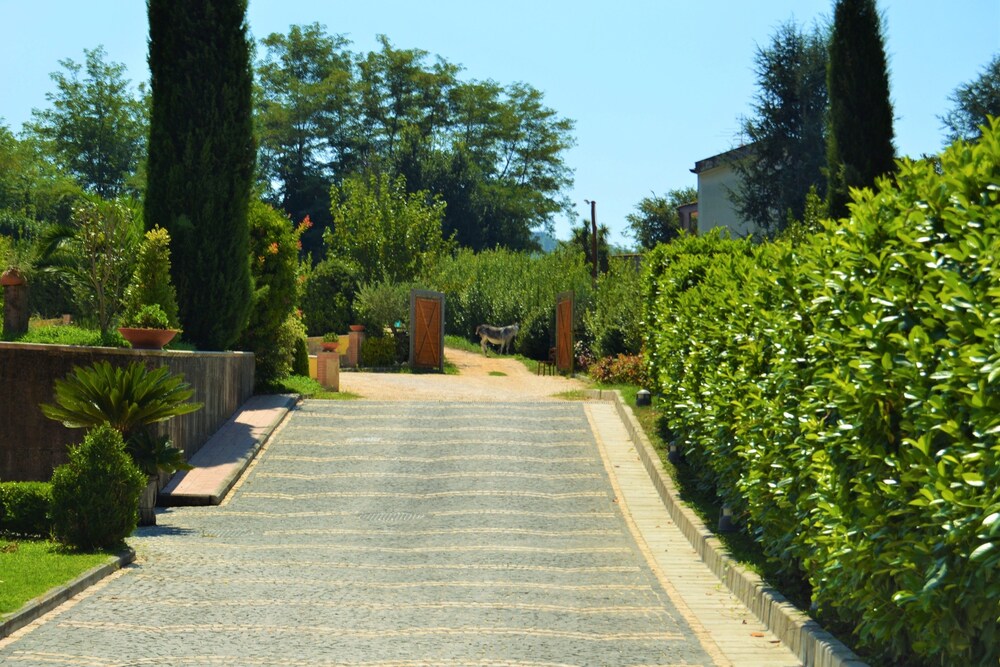 Cortile