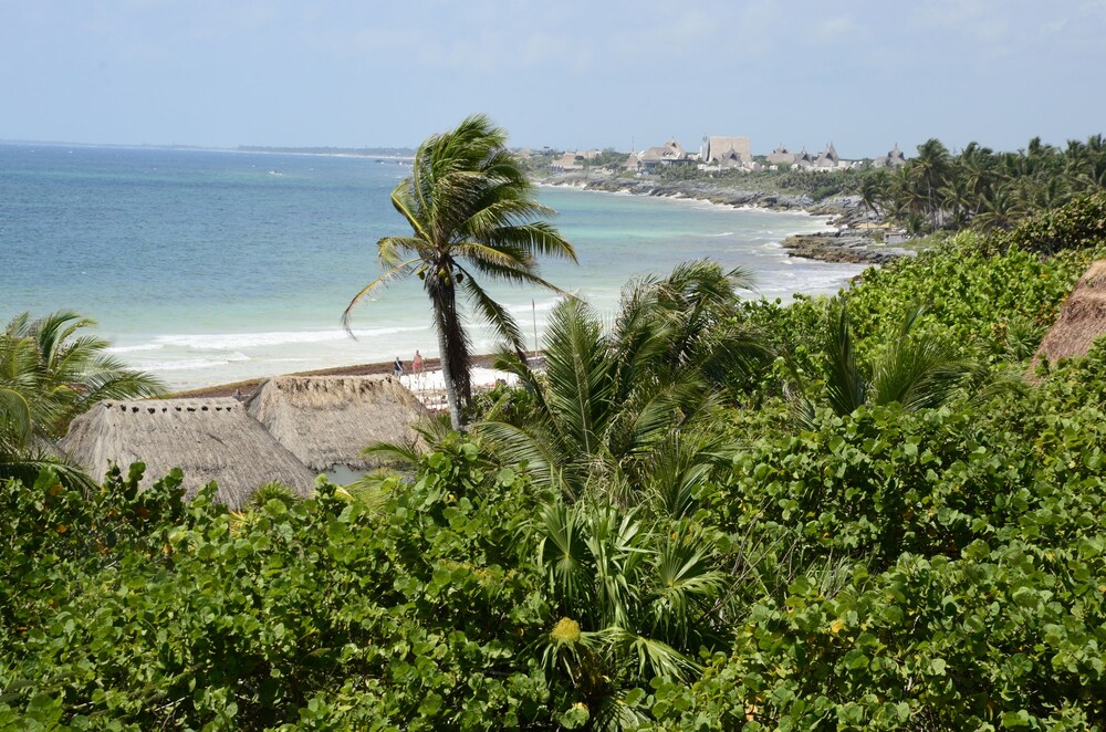 View from Hotel
