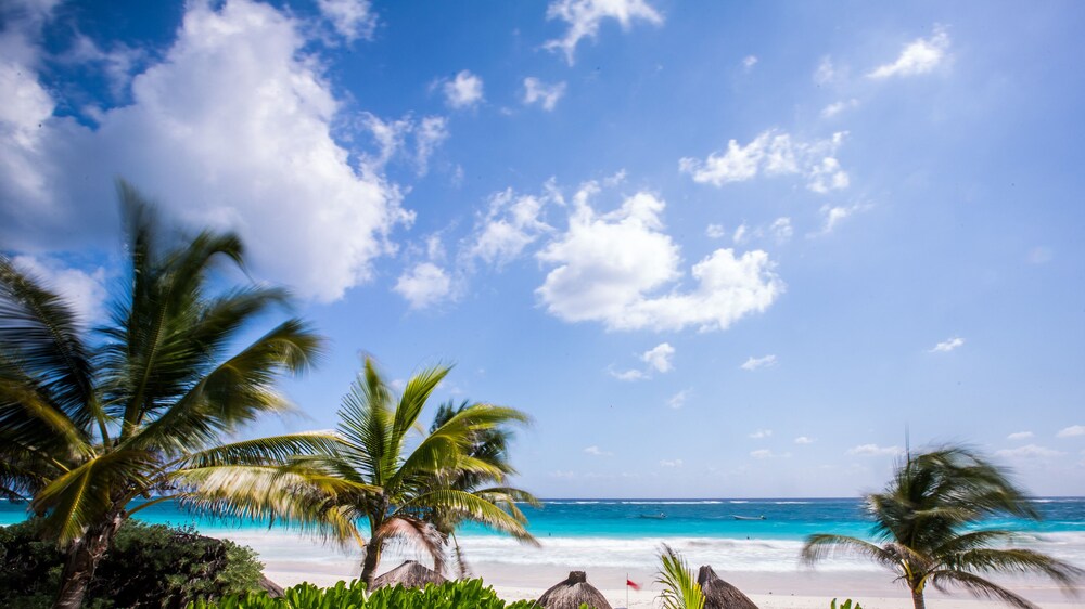 Beach