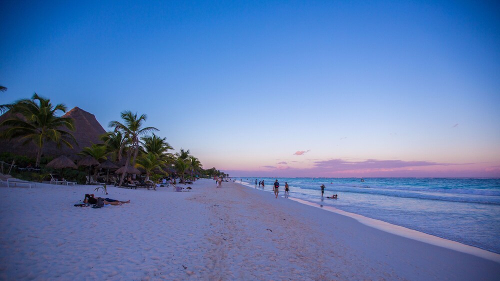 Beach/Ocean View