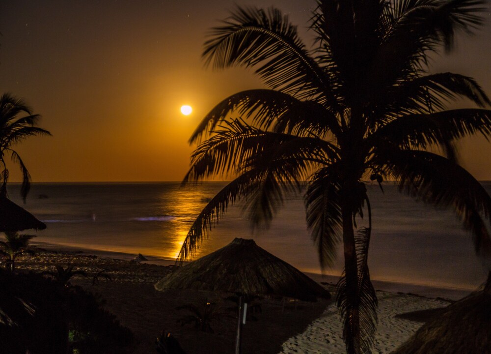 Beach/Ocean View