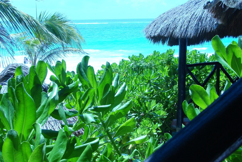 Beach/Ocean View