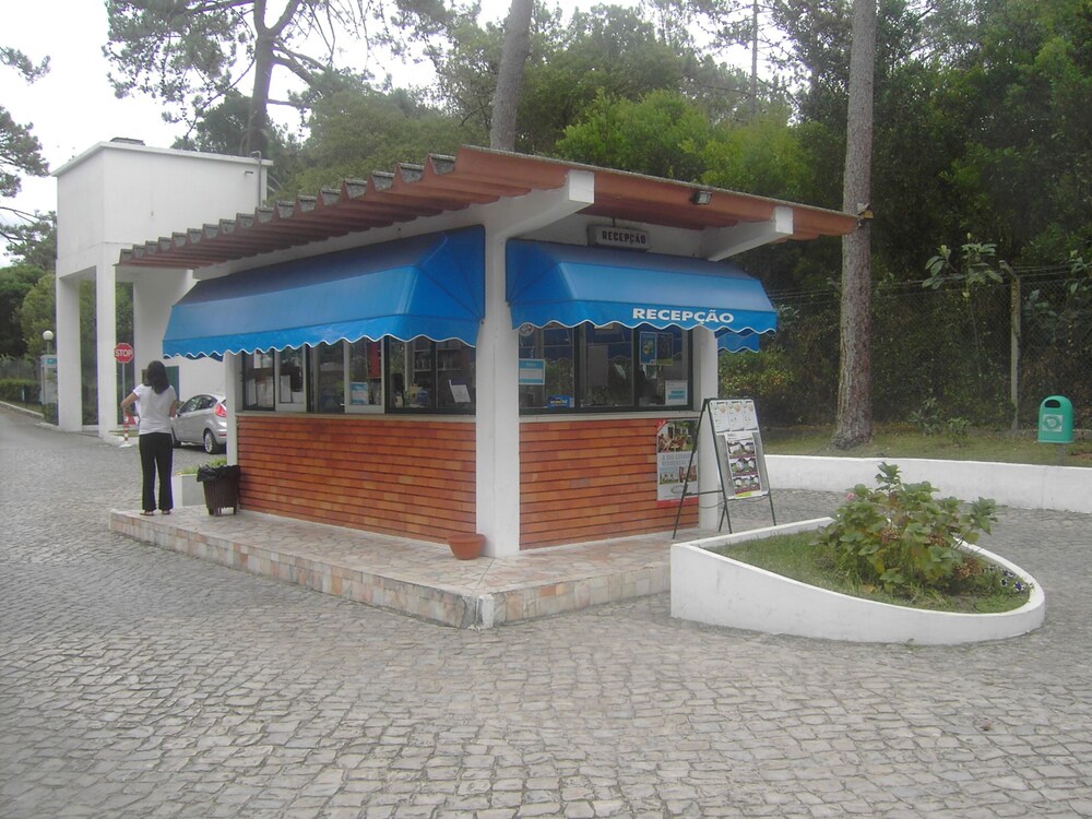 리셉션