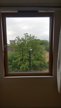 Guestroom View