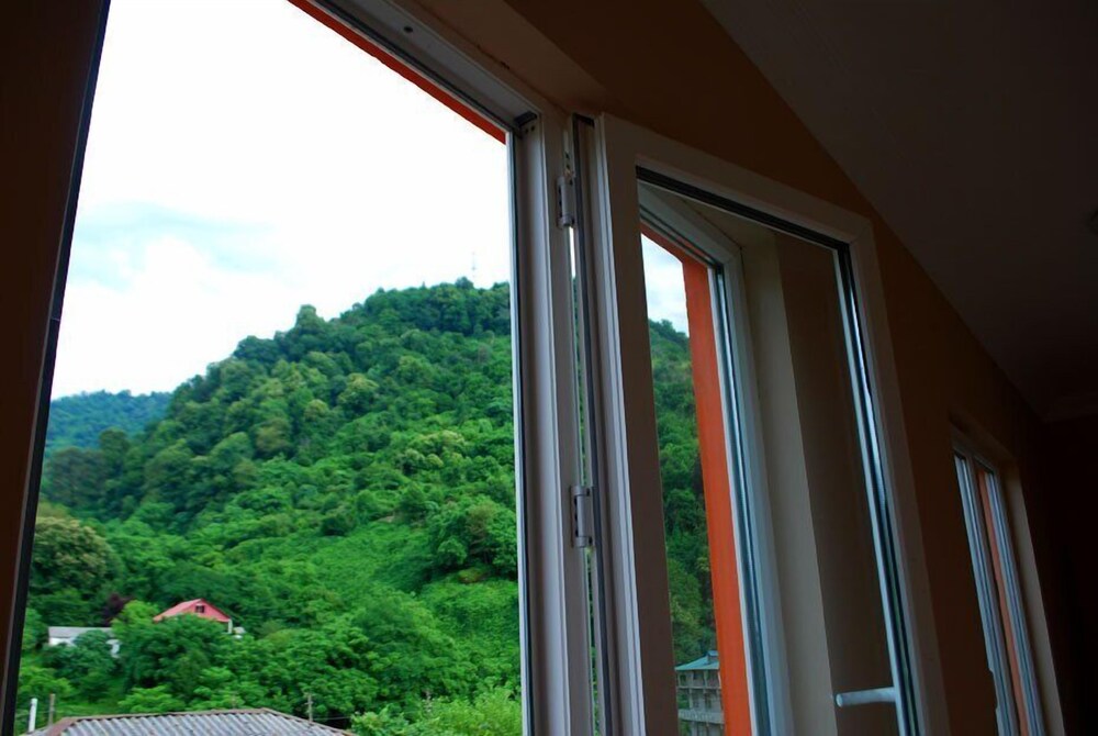 Guestroom View