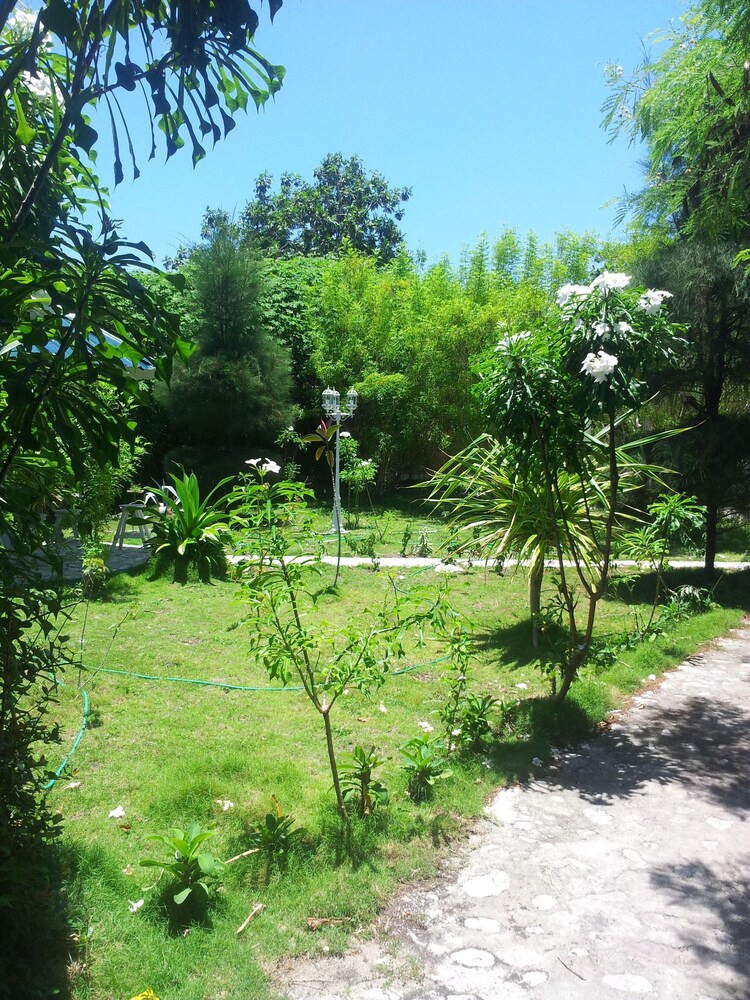 Jardin