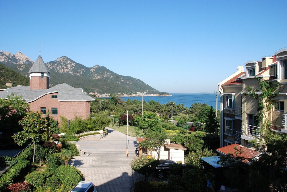 대표 사진