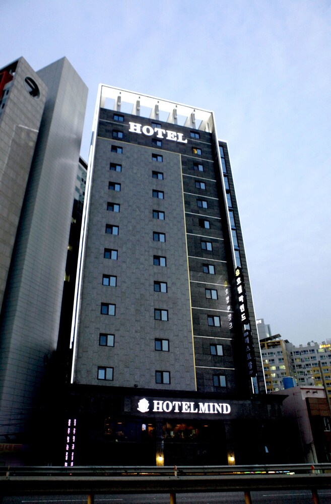 대표 사진
