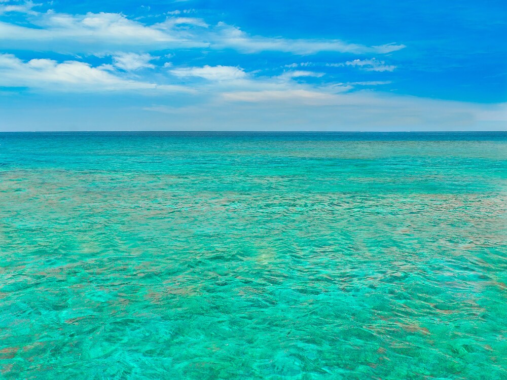 Beach/Ocean View