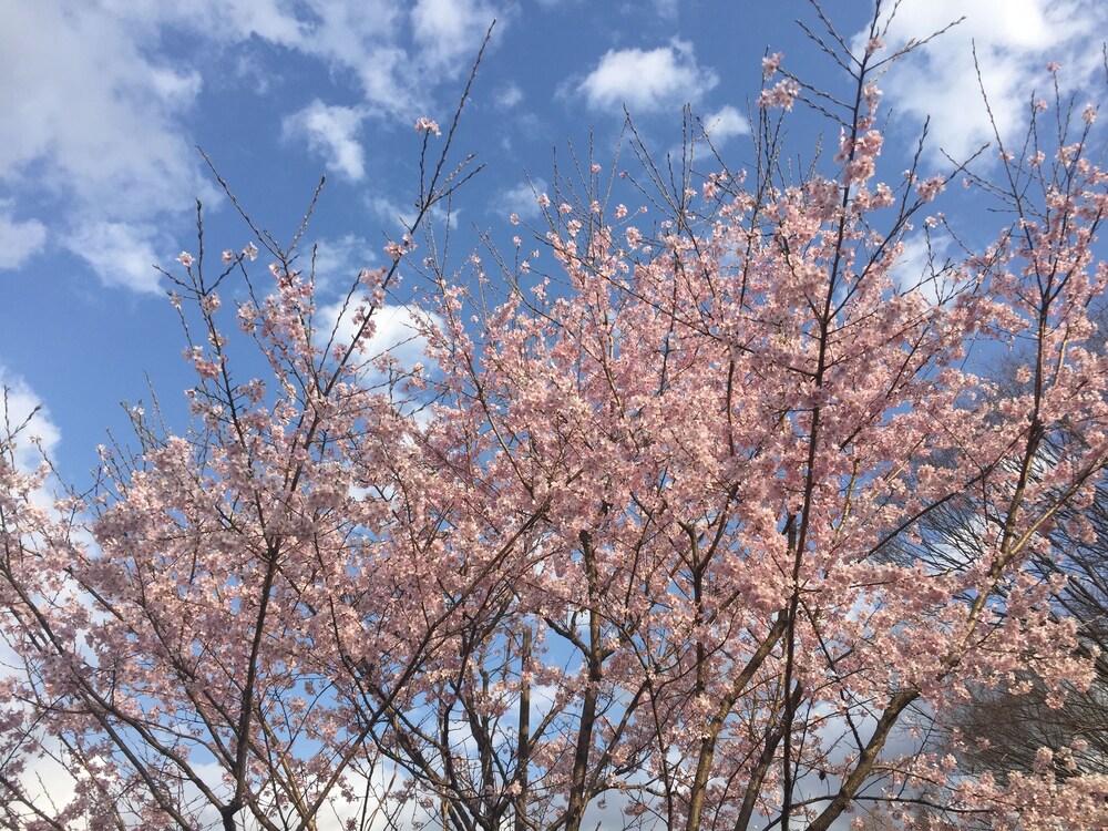 施設の敷地