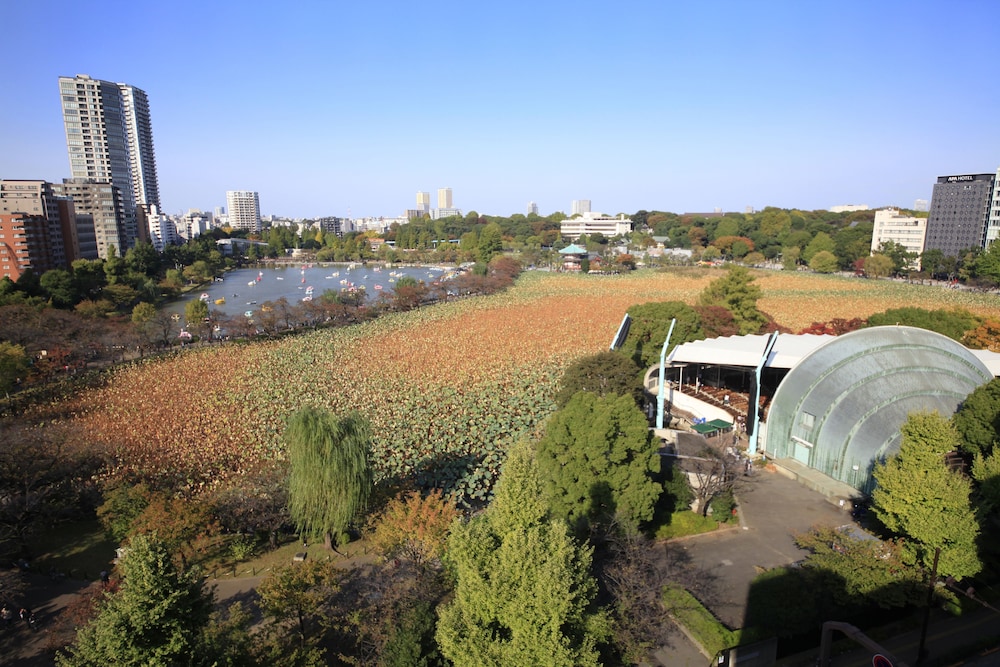 View from Hotel