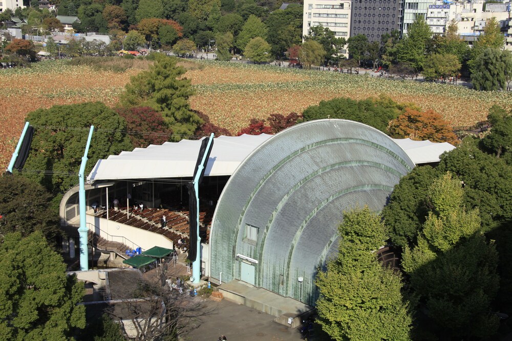 View from Hotel