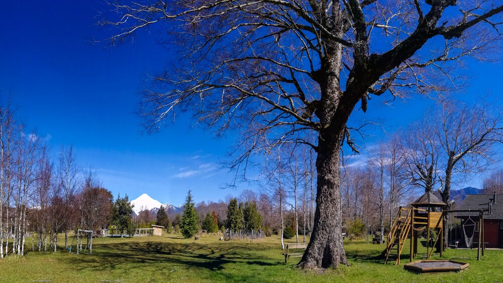 Vista al jardín
