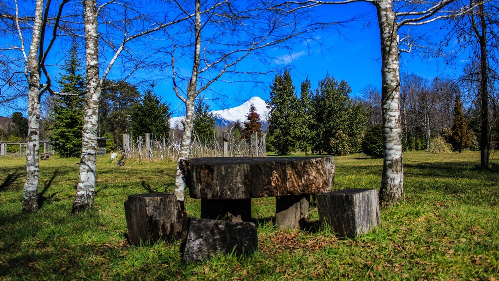 Jardines del establecimiento
