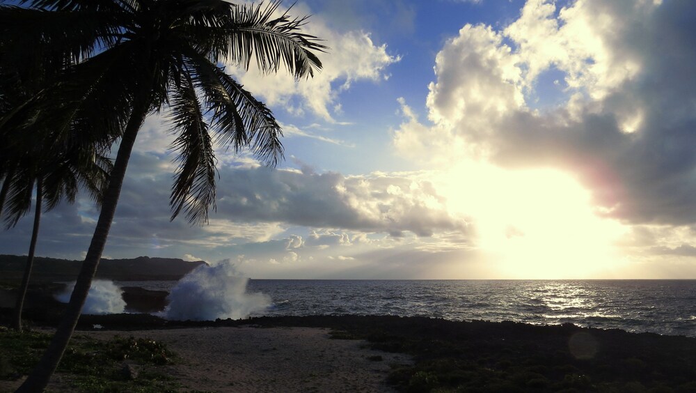 Beach/Ocean View