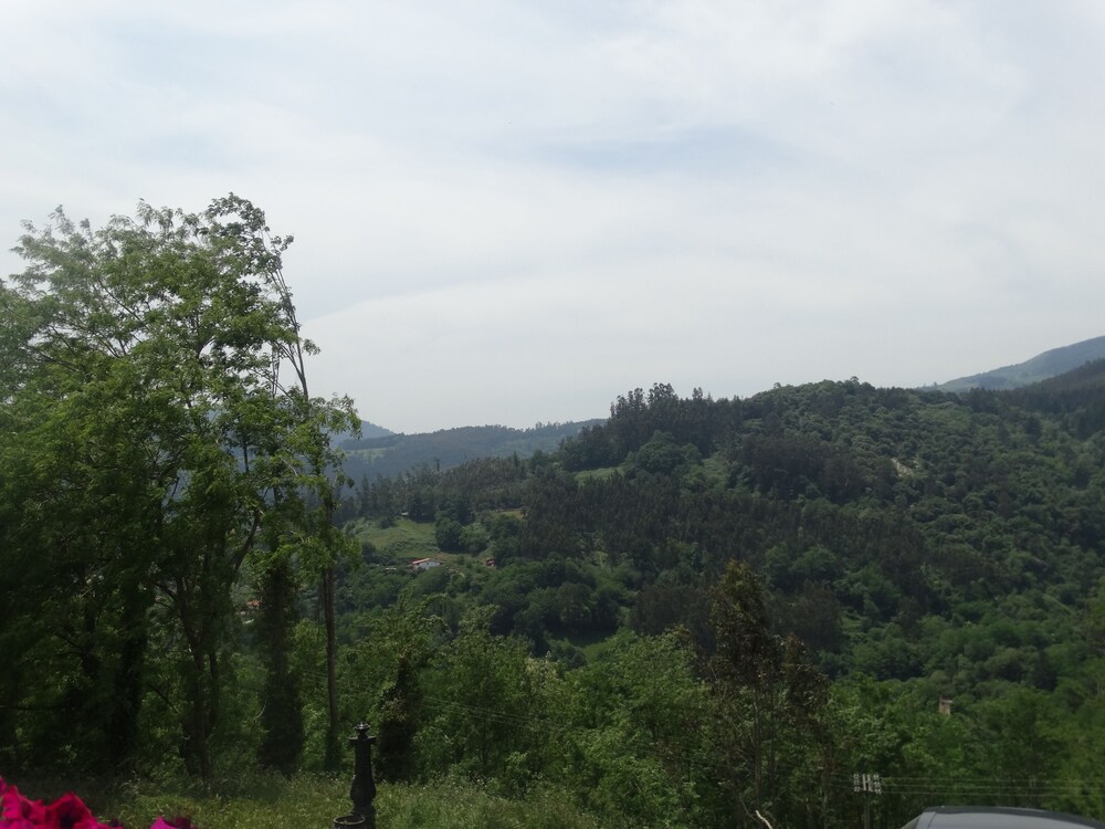 Vista a la montaña