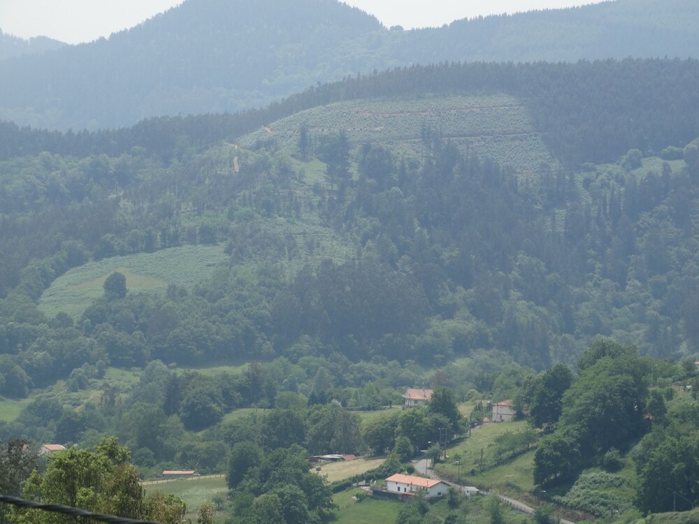 Vista a la montaña