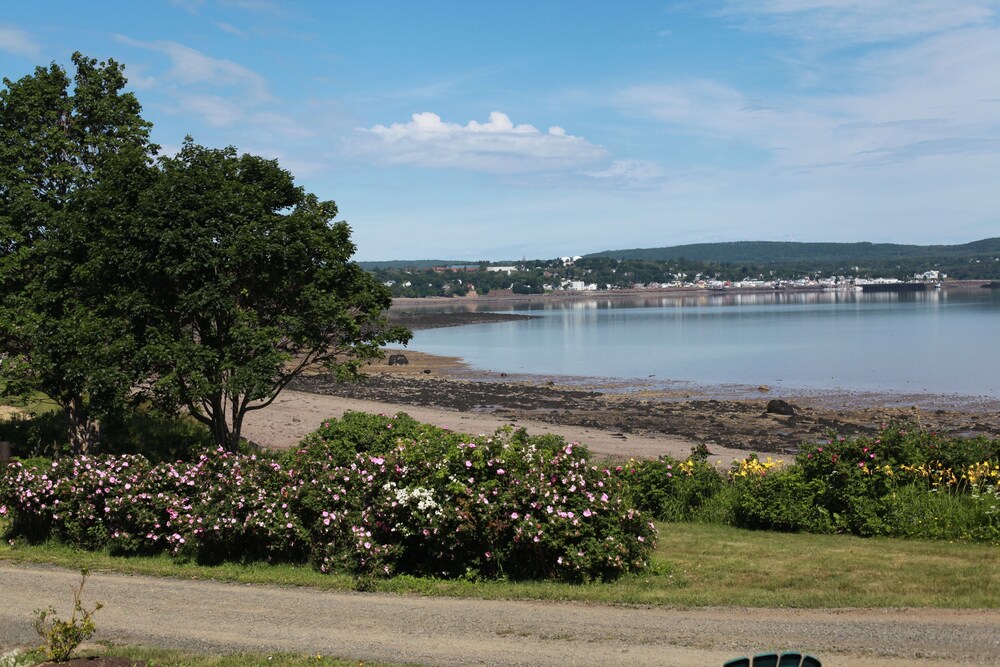 Beach/Ocean View