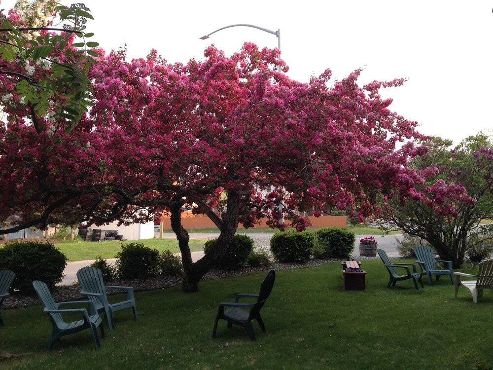 Jardin
