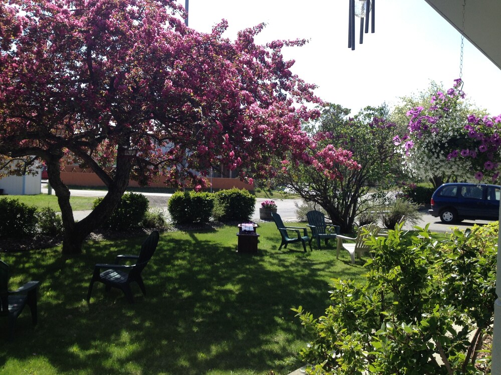 Jardin