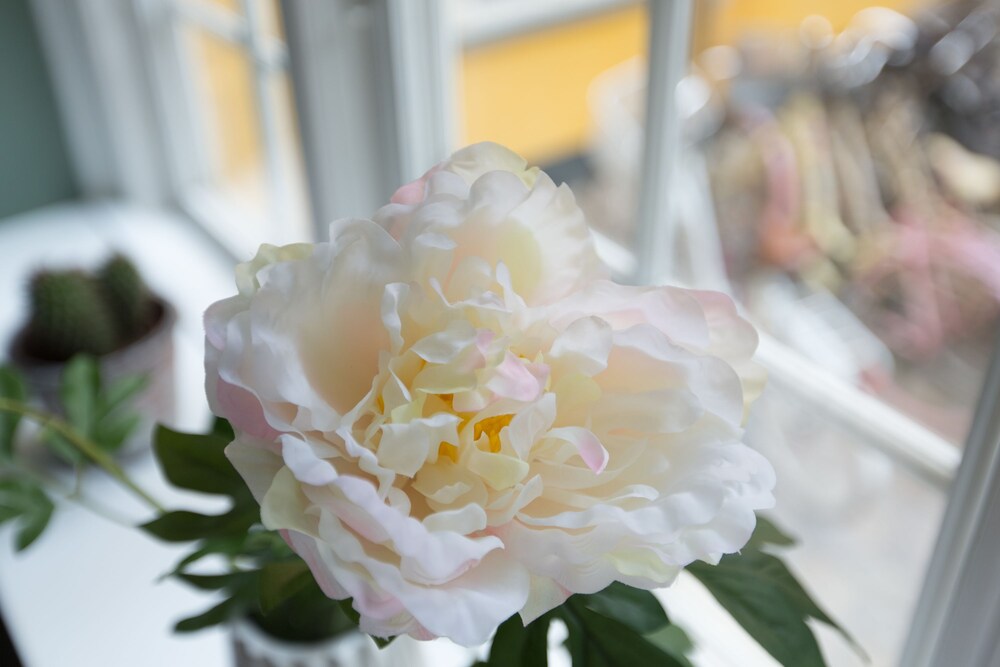 Bekvämlighet på rummet (Lägenhet)