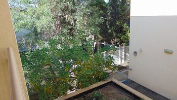Guestroom View