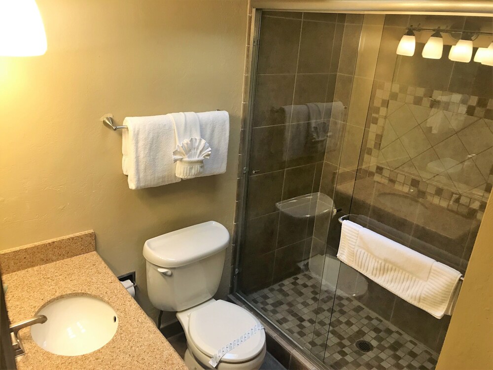 Loft, 1 Bedroom - Bathroom