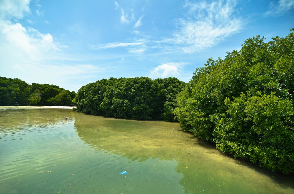 Lake