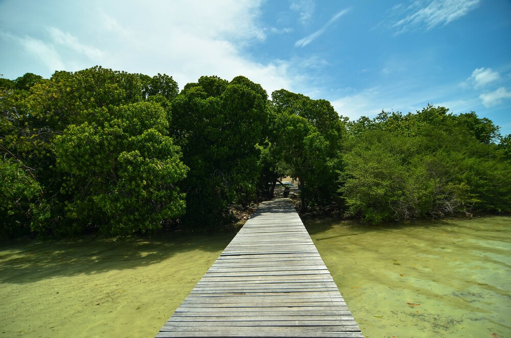 Lake