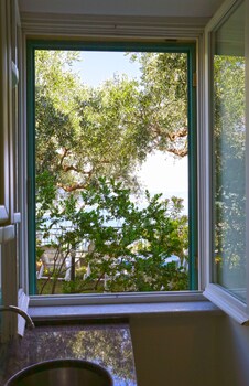 Guestroom View
