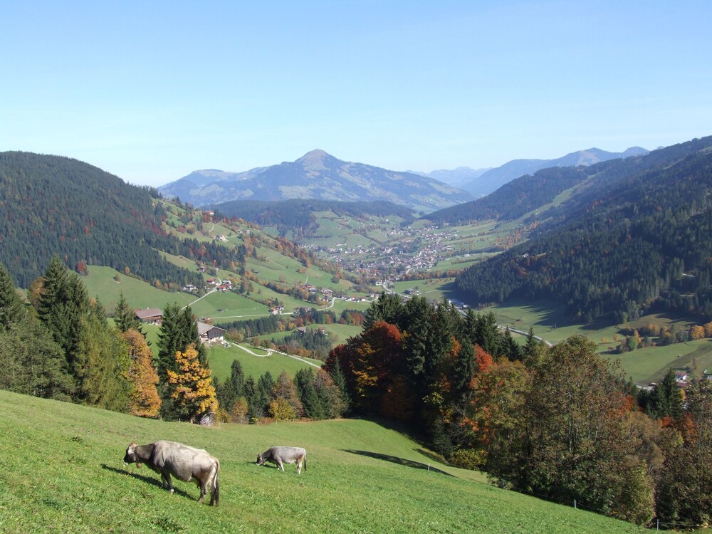 Wandern