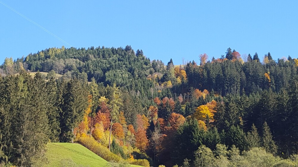 Bergblick