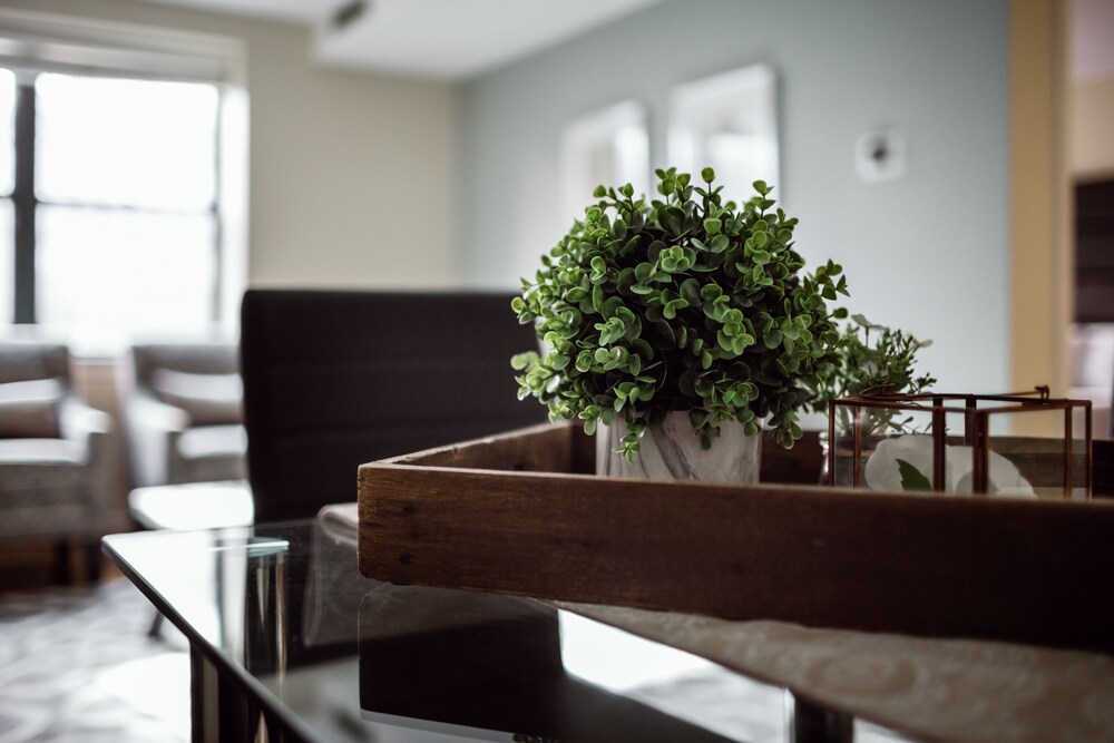 Standard Apartment, 1 Bedroom - In-Room Amenity
