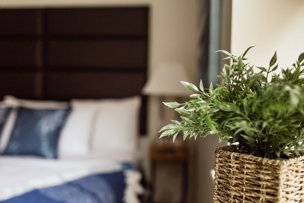 Standard Apartment, 2 Bedrooms - Guestroom