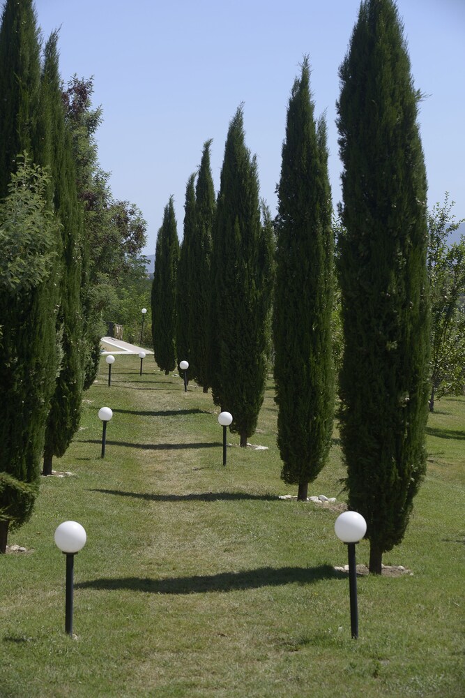 Parco della struttura
