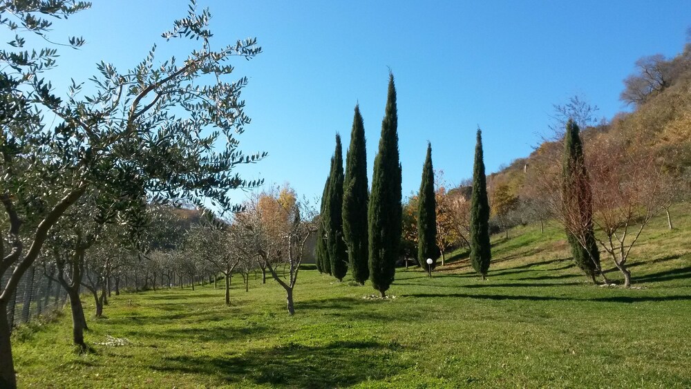 Parco della struttura