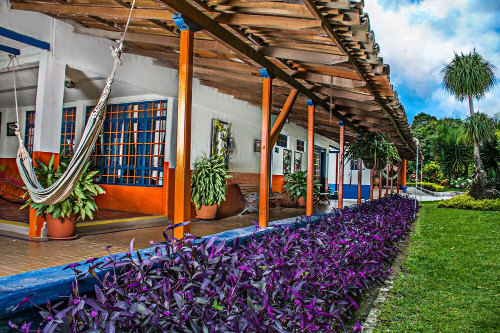 Terraza