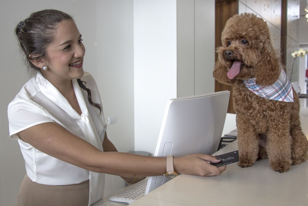Pet-Friendly