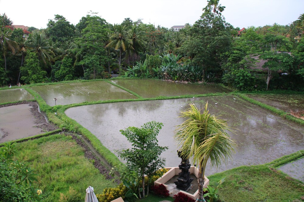 Pemandangan Udara