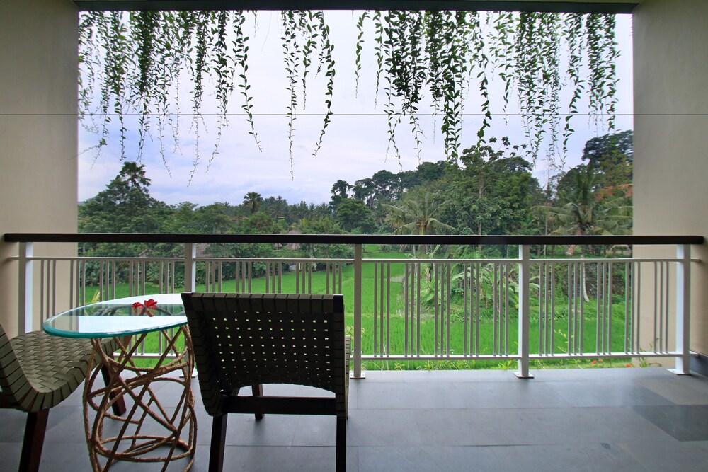 Teras/Patio