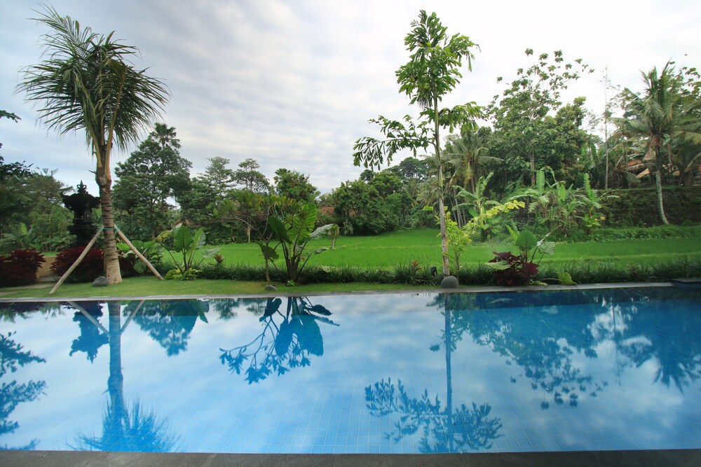 Kolam Renang Luar Ruangan