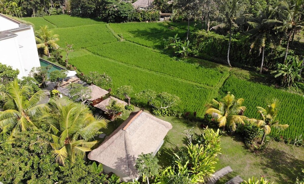 Foto Utama