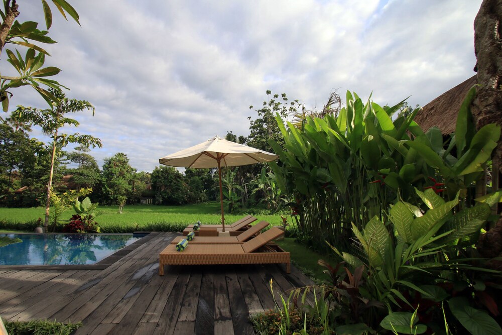 Pemandangan dari Hotel