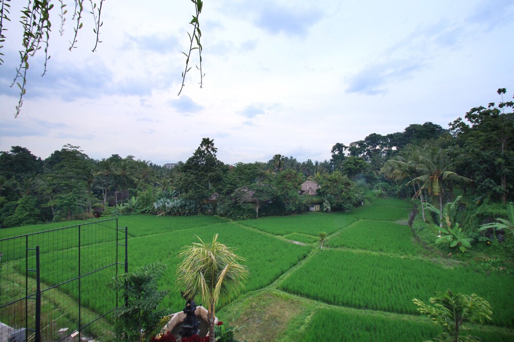 Pemandangan dari Hotel
