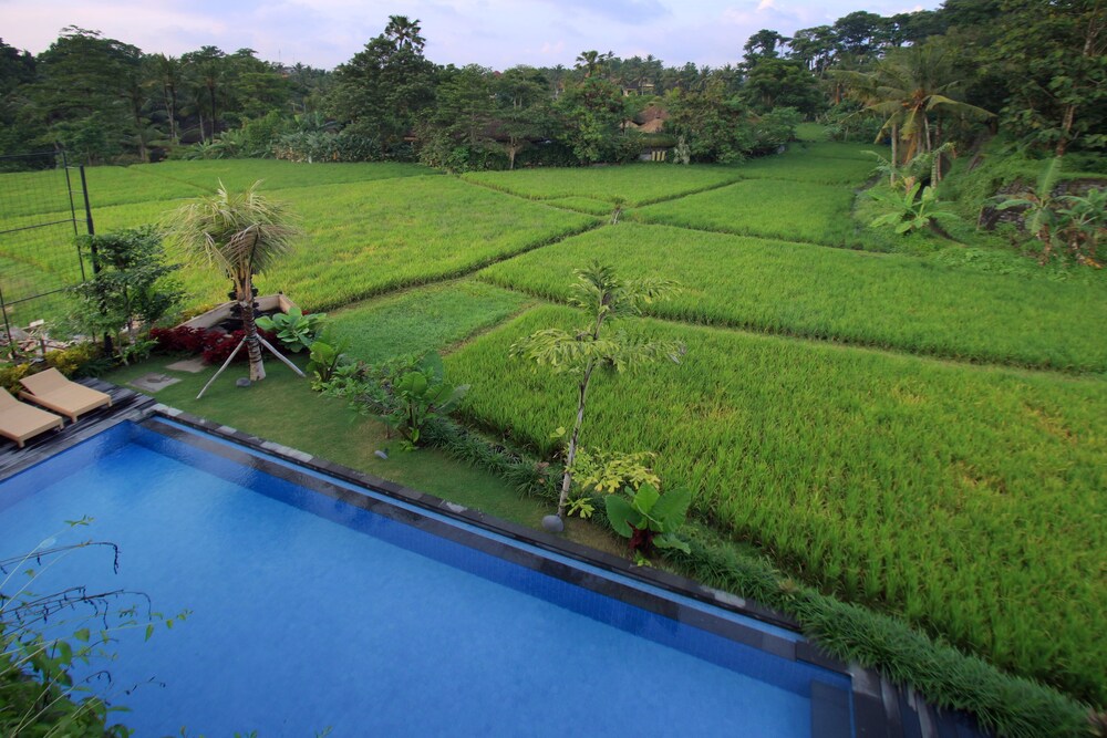 Pemandangan Udara