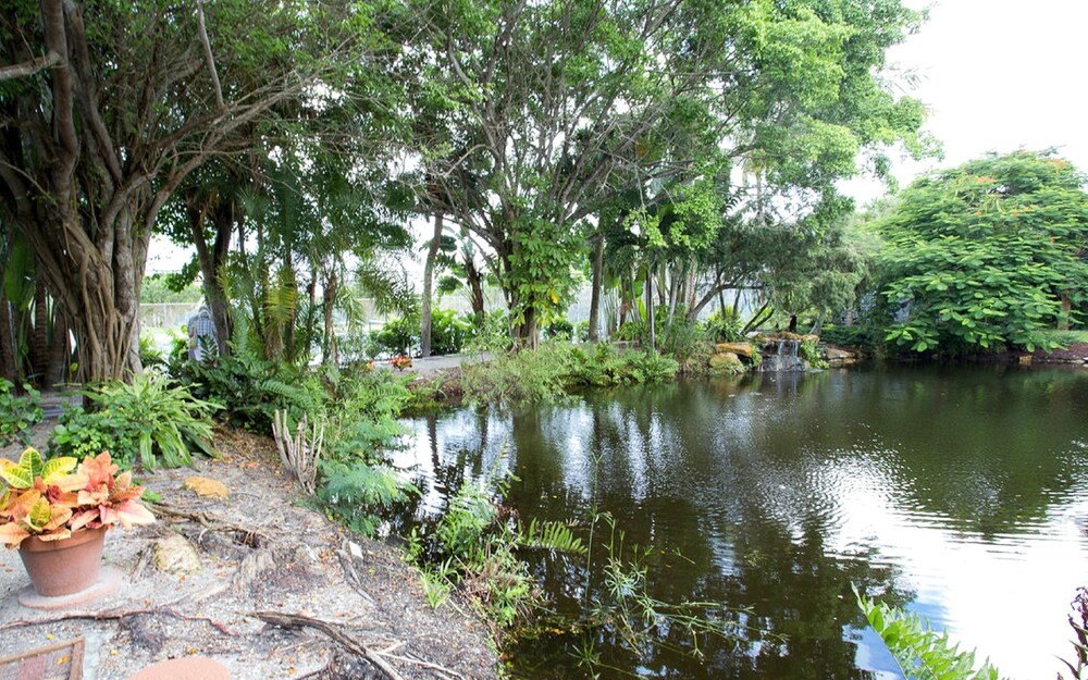 Lake